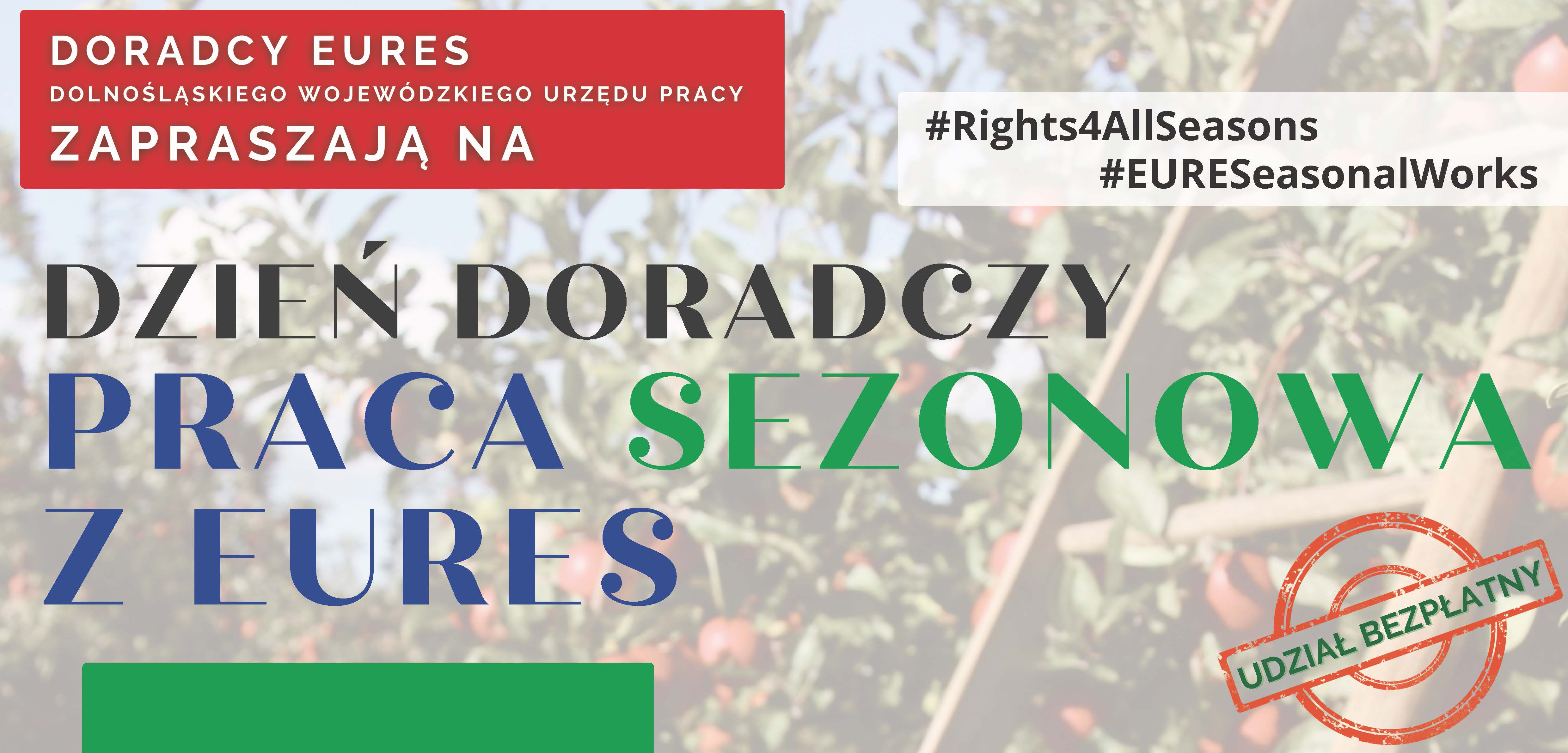 Tematyczny dzień doradczy - miniaturka 2