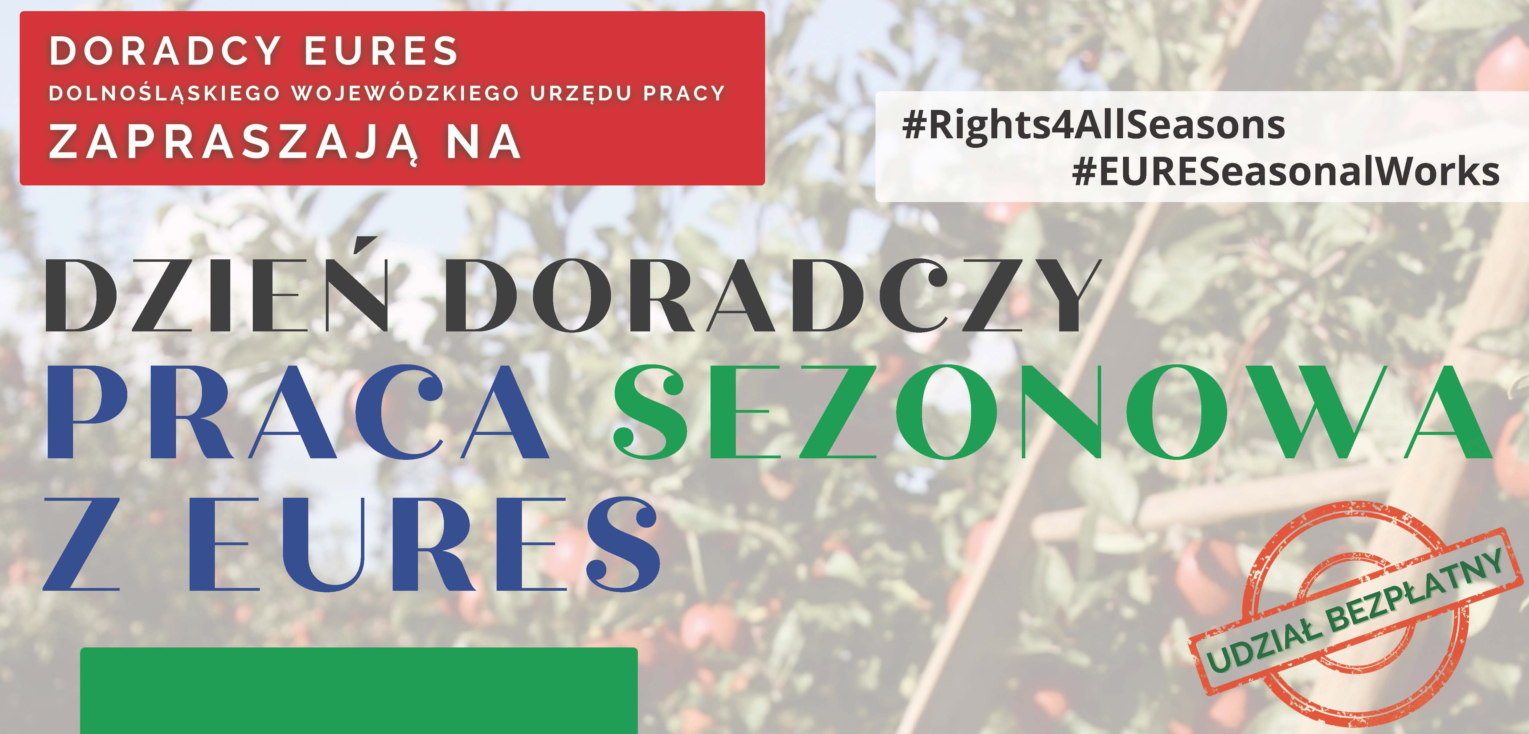 Tematyczny dzień doradczy - miniaturka