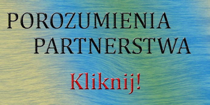 Porozumienia i Partnerstwa - obrazek