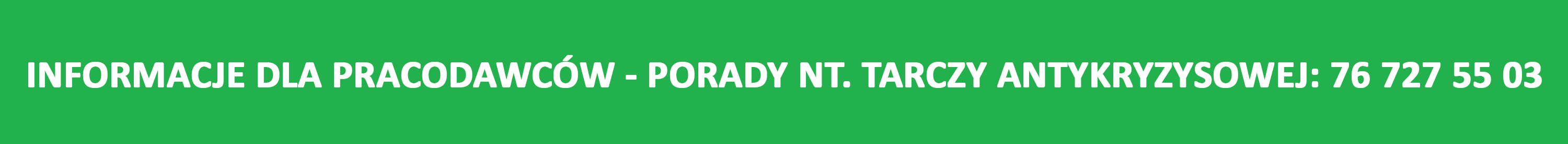 Tarcza antykryzysowa 2 - baner
