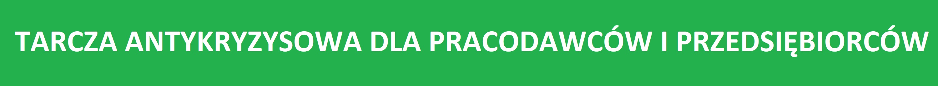 Tarcza antykryzysowa - baner